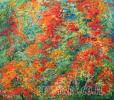 פריחה באביב -3, № Mood -66 painting of Israeli landscape, mood painring on canvas, for home design,acrylic on canvas